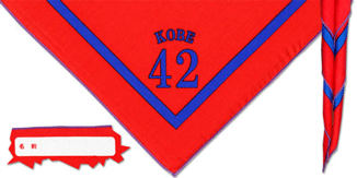 �{�[�C�X�J�E�g�_�ˑ�42�c�l�̃l�b�J�`�[�t