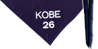 �{�[�C�X�J�E�g�_�ˑ�1�c�l�̃l�b�J�`�[�t