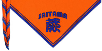 �{�[�C�X�J�E�g�n��2�c�l�̃l�b�J�`�[�t