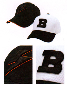 �L���b�v�̗��̎h�J