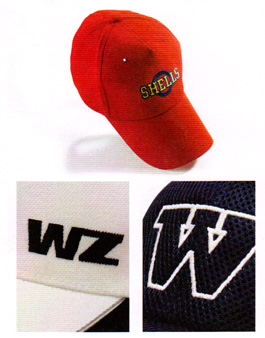 �L���b�v�̒��ڎh�J